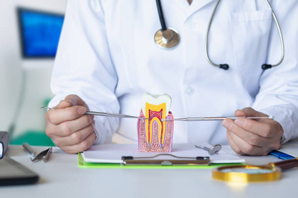 Best Emergency Dentist for Lost Fillings or Crowns in Inverness Highlands South, FL